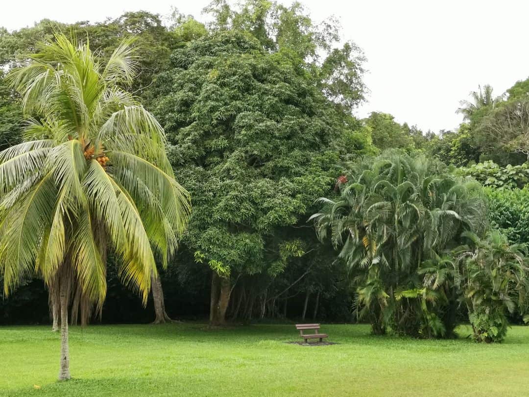 Upper Seletar Reservoir Park