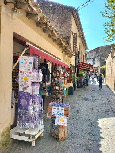 Carcassonne day trip