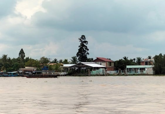 mekong river day trip