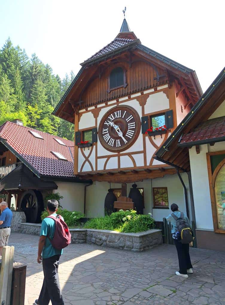 triberg cuckoo