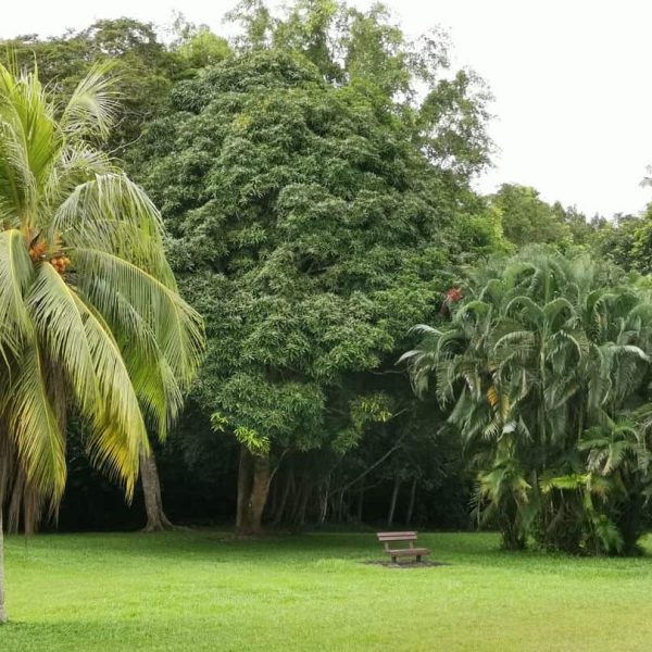 Upper Seletar Reservoir Park