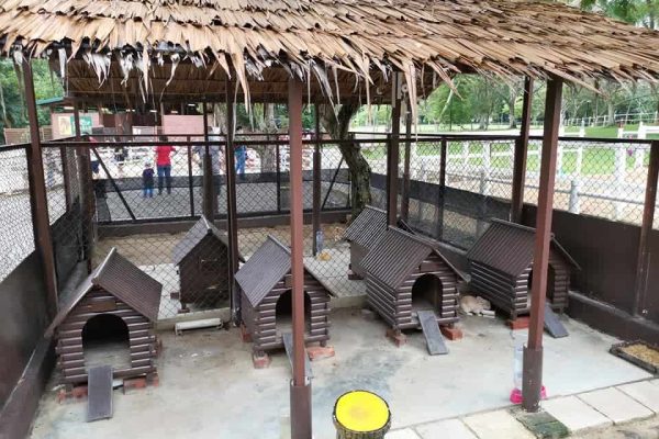 kids places singapore