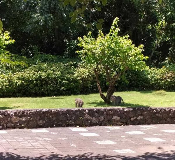 bali travel