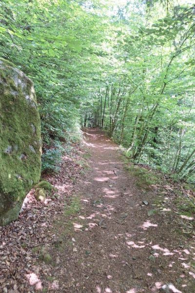 triberg cuckoo