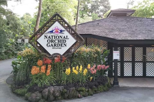 kids places singapore