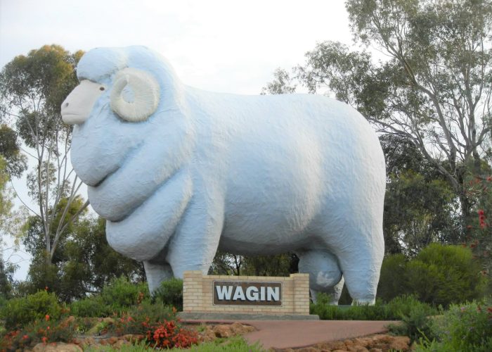 wagin south west australia road trip